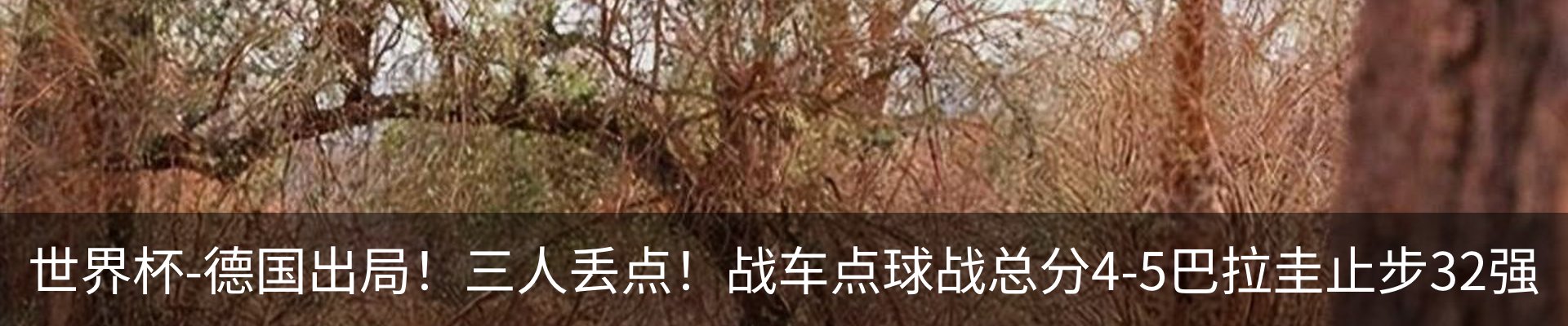 最新动态