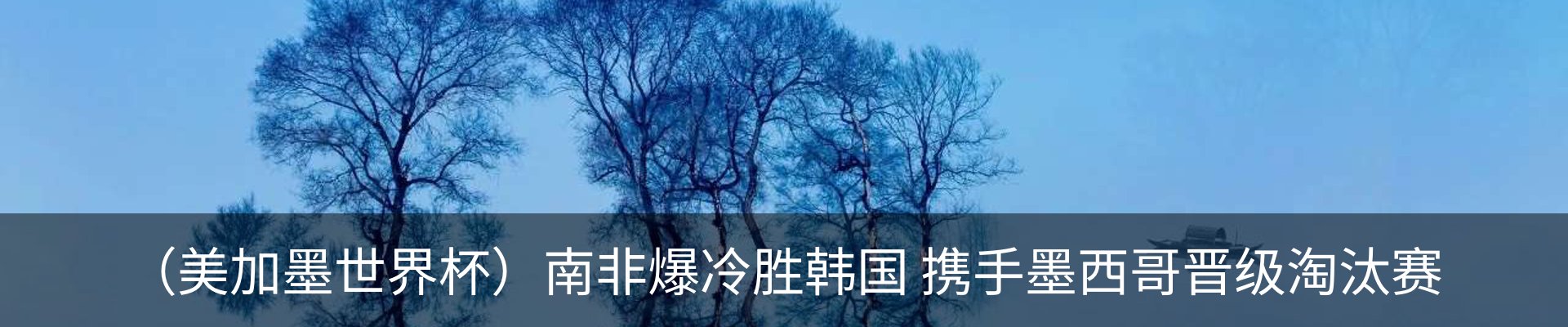 最新动态