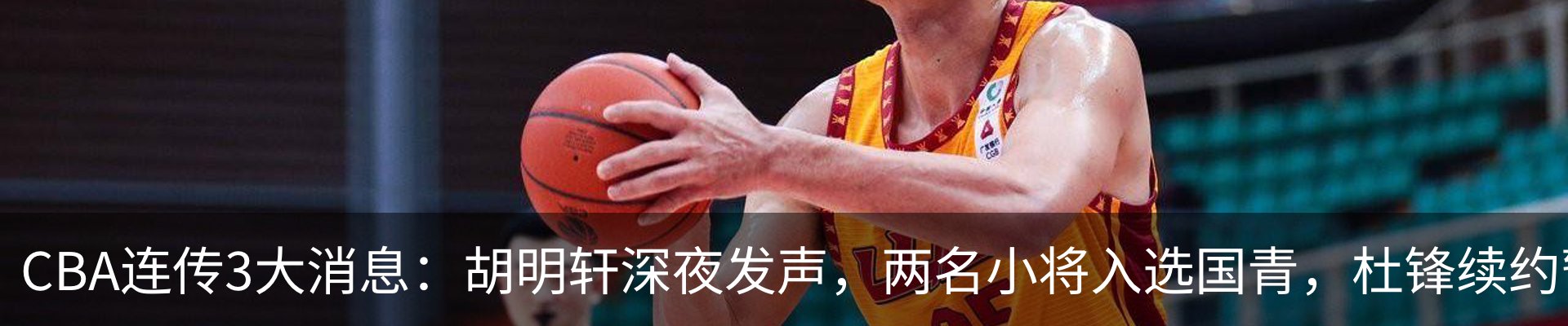最新动态